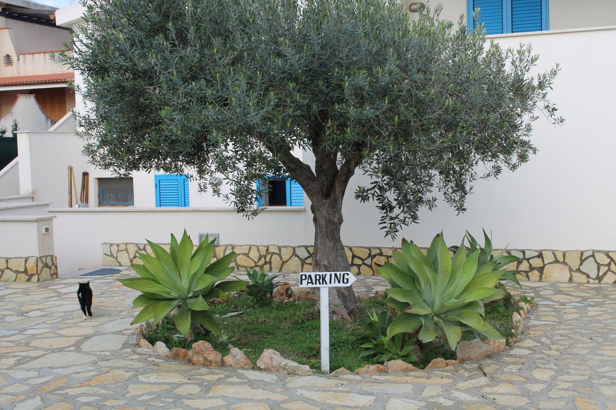 Resort Signorino Eco & 2*