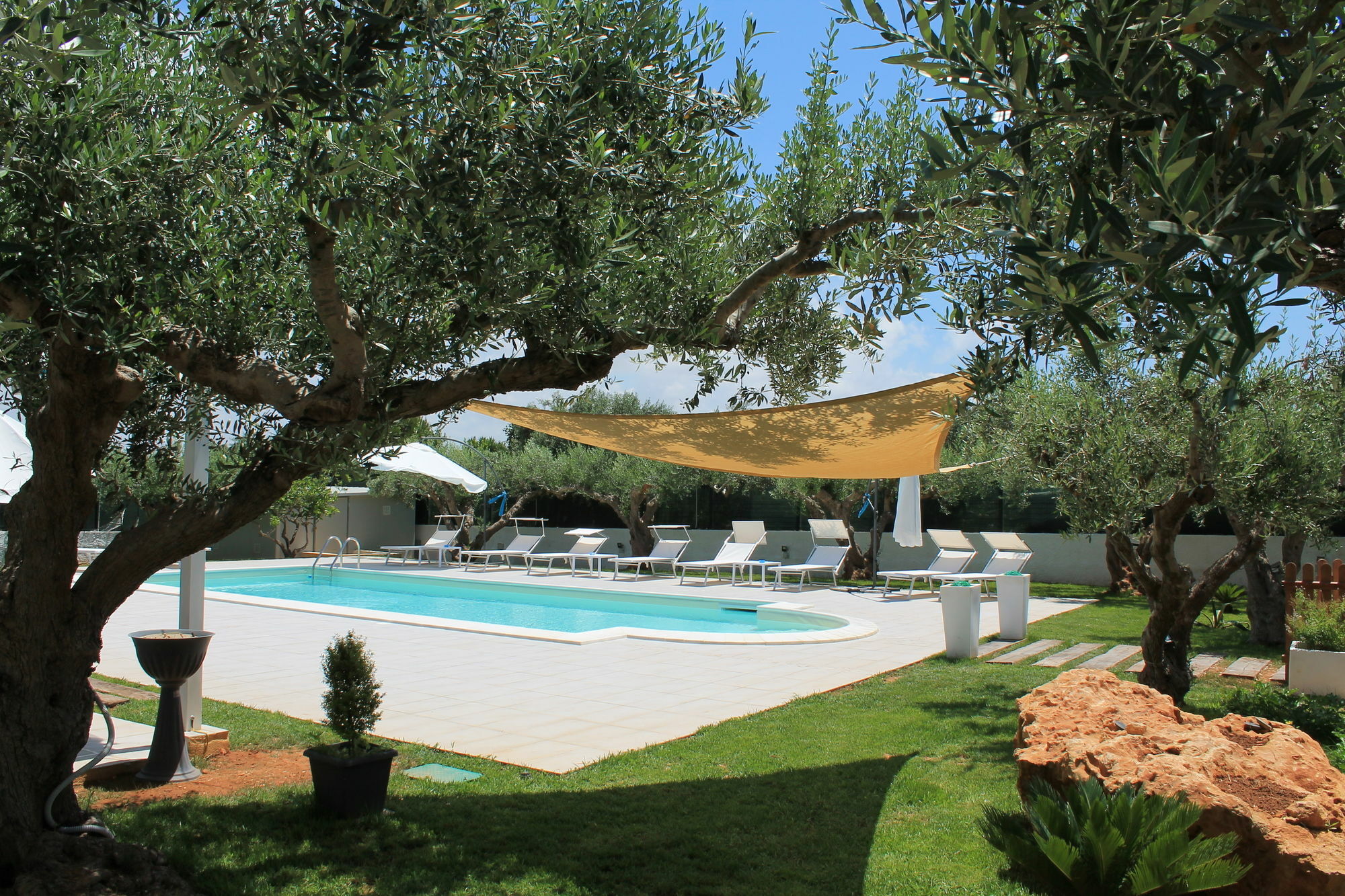 Signorino Eco & 2*